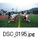 DSC_0195.jpg[640�~425]