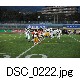 DSC_0222.jpg[640�~425]